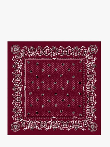 Longchamp Soie gots Sjaal Violet